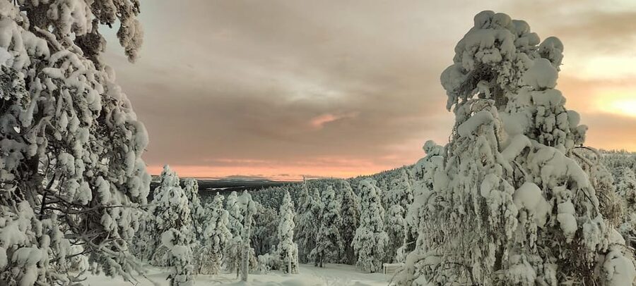 Lapland: Private Snowmobile Safari with arctic Local Guide - Learning to handle the snowmobile