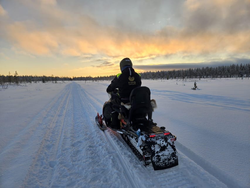 Lapland: Private Snowmobile Safari with arctic Local Guide - Who will enjoy this most