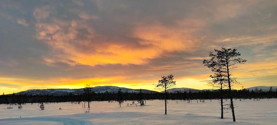 Lapland: Private Snowmobile Safari with arctic Local Guide - Getting ready in Luosto