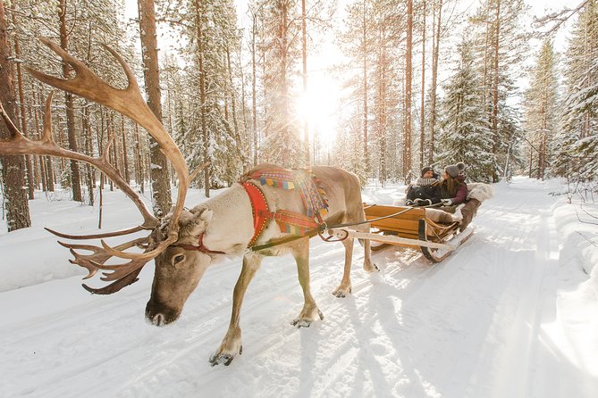 Lapland Reindeer and Husky Safari from Rovaniemi - Two classic Lapland rides before lunch
