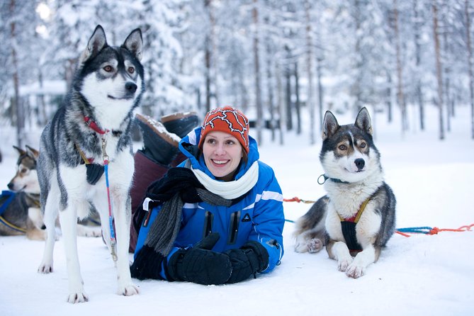 Lapland Reindeer and Husky Safari from Rovaniemi - What you learn about reindeer matters