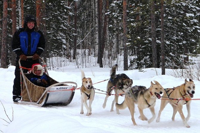 Lapland Reindeer and Husky Safari from Rovaniemi - Guides can make the difference