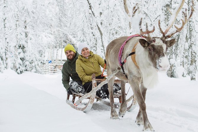 Lapland Reindeer and Husky Safari from Rovaniemi - Who should book this Rovaniemi excursion?