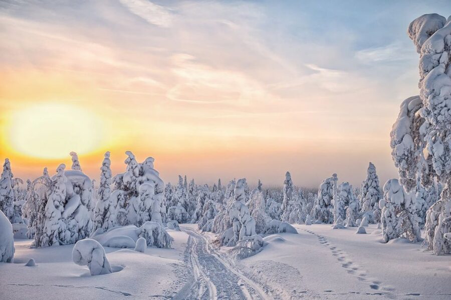 Lapland: The Frozen Waterfalls of Korouoma Tour - Is $210 a fair price?