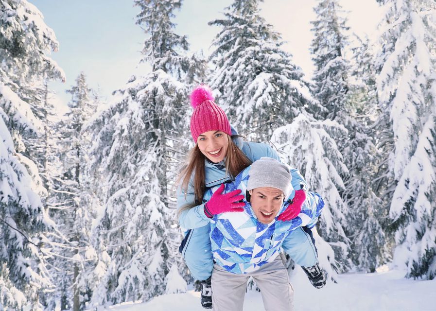 Lapland: The Frozen Waterfalls of Korouoma Tour - The frozen waterfalls are the main event
