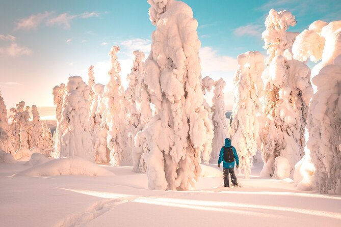 Lapland Winter Experience - Key points at a glance
