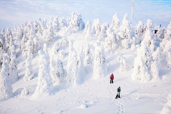 Lapland Winter Experience - Guides who shape the day