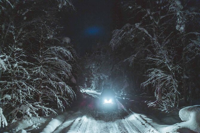 Night Snowmobile Safari, Rovaniemi - How much the Northern Lights matter
