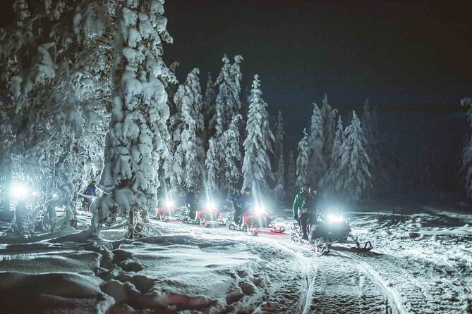 Night Snowmobile Safari, Rovaniemi - Who will enjoy this safari most
