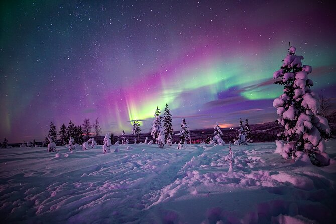 Night Snowshoeing Adventure under the Northern Lights - Key points to know