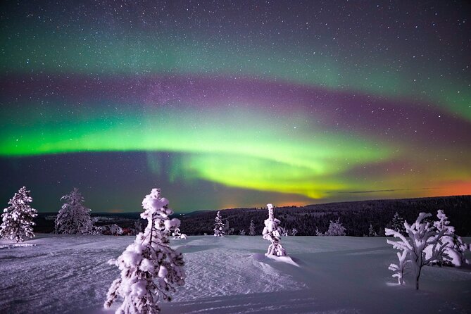 Night Snowshoeing Adventure under the Northern Lights - Walking into the Arctic night
