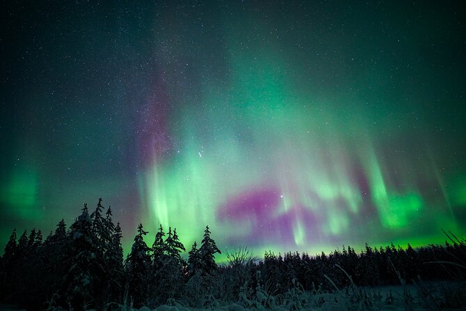 Night Snowshoeing Adventure under the Northern Lights - Choosing the right place for Northern Lights