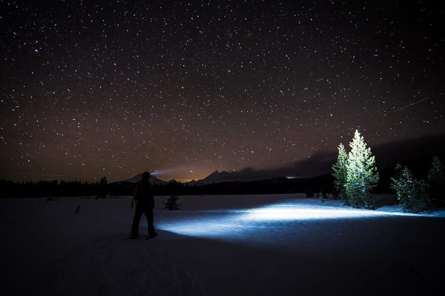 Night Snowshoeing Lapland Experience - Choosing between forest trails and a frozen lake