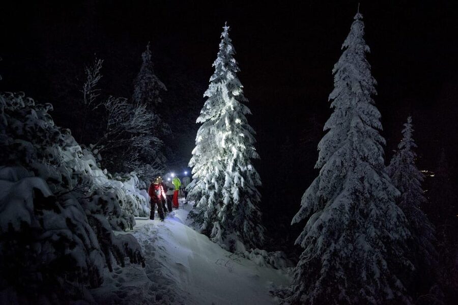Night Snowshoeing Lapland Experience - The frozen-lake choice and the aurora question