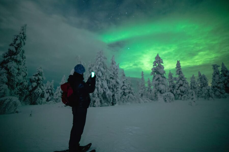 Night Snowshoeing Lapland Experience - What the $176 price really buys