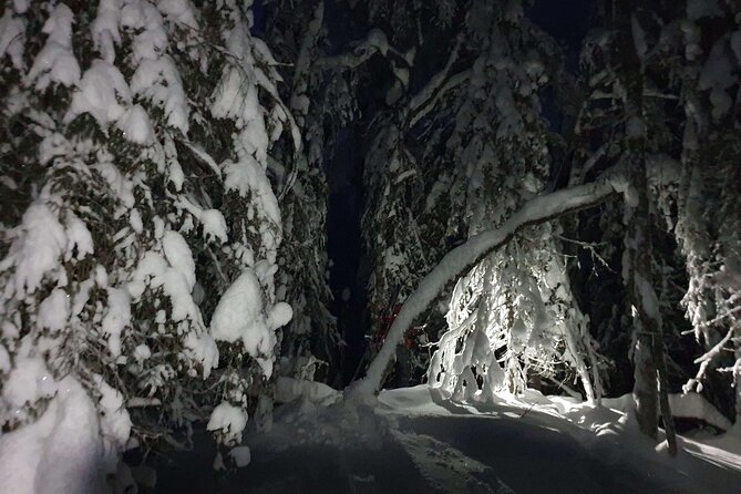 Nocturnal Skiing: Experience the Arctic's Magic - Why this night ski feels different from a standard Rovaniemi tour