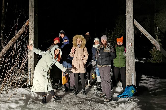 Northern Lights Auroras from Kemi-Tornio with Pickup - The important warning about pickup and group control