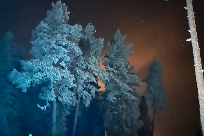 Northern Lights dinner in a Glass Igloo - Price, timing, and cancellation