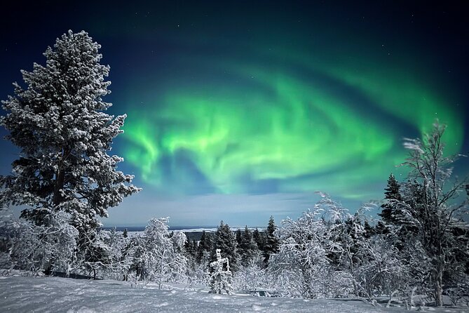 Northern Lights Holiday in Finland - A sensible base in Ivalo