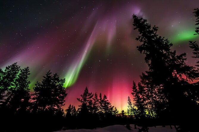 Northern Lights Hunt from Rovaniemi with Folk Tales and Snacks over Campfire - The real value of $150.20