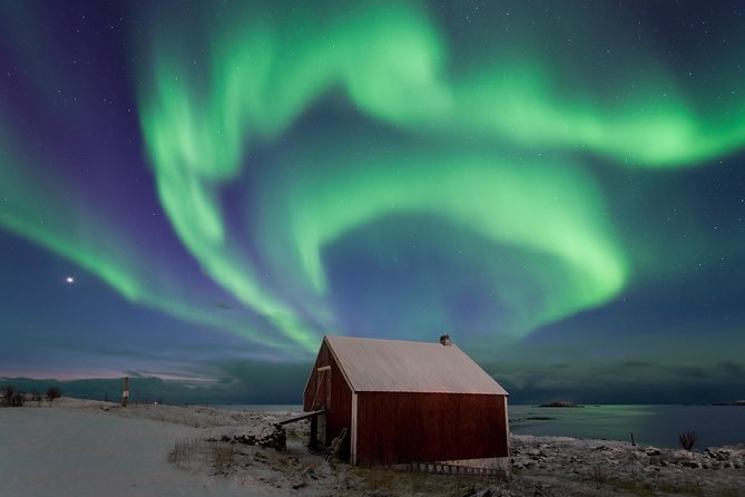 Northern Lights Hunt Including Snacks on Campfire from Rovaniemi - Is $144.83 fair value?