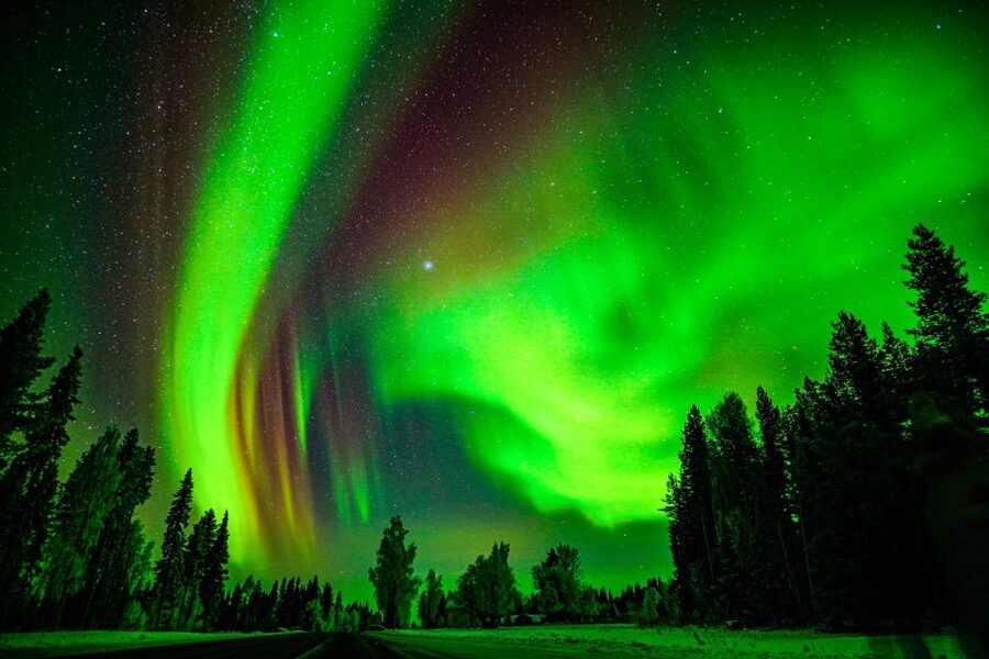 Northern Lights Hunting Adventure in Lapland - Should you book this Northern Lights adventure?