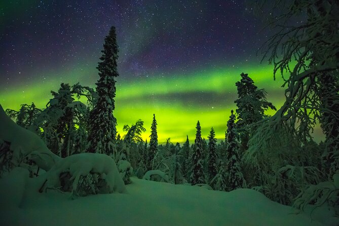 Northern Lights Hunting of Rovaniemi - Photo help when the aurora appears