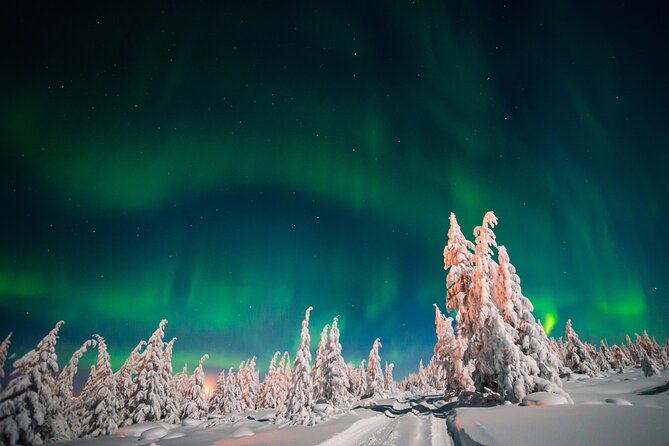 Northern Lights Hunting of Rovaniemi - How cold is too cold for this tour?