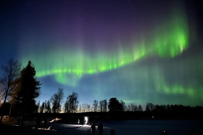 Northern Lights Hunting of Rovaniemi - Group size, vans, and the real feel of the evening