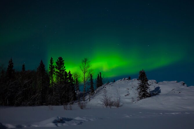Northern Lights Hunting of Rovaniemi - Fire, barbecue, and Finnish comfort food