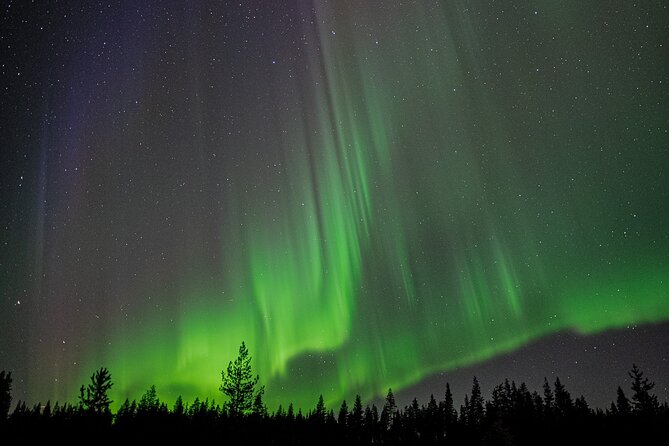 Northern Lights Hunting with a photographer (Only small groups) - Pickup, transport, and the small-group setup