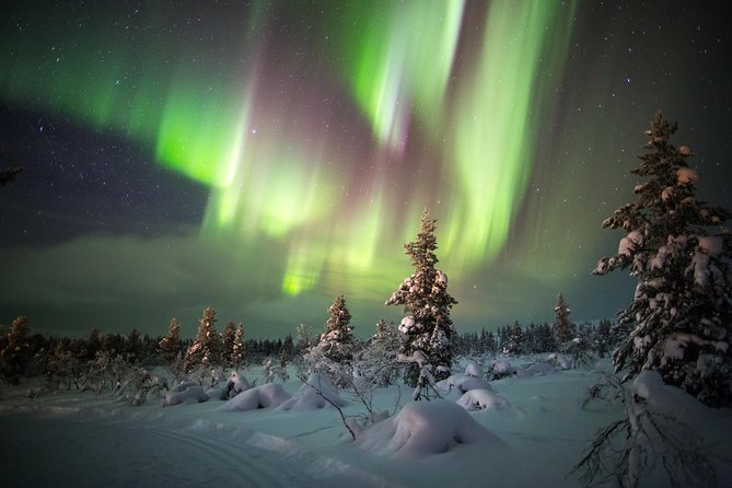 Northern Lights Hunting with Snowmobiles - The snowmobile ride through snowy forest