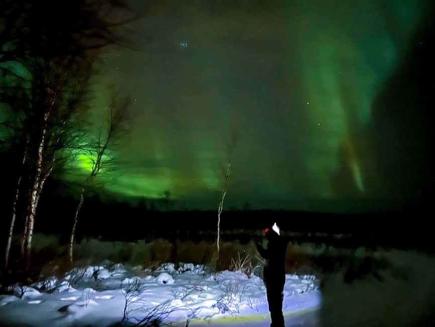 Northern lights private tour Rovaniemi - Scenic stops, short walks, and waiting under the sky