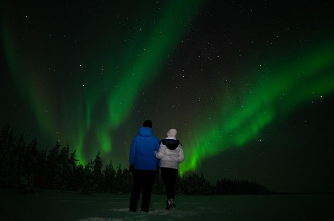 Northern Lights Reindeer Sledge Ride - Thermal clothing makes the price easier to accept