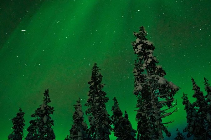 Northern Lights Reindeer Sledge Ride - FAQ