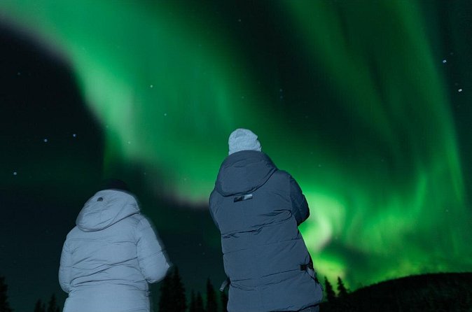 Northern Lights Rovaniemi: Guaranteed Tour with Local Guide - Who will enjoy this long Arctic search