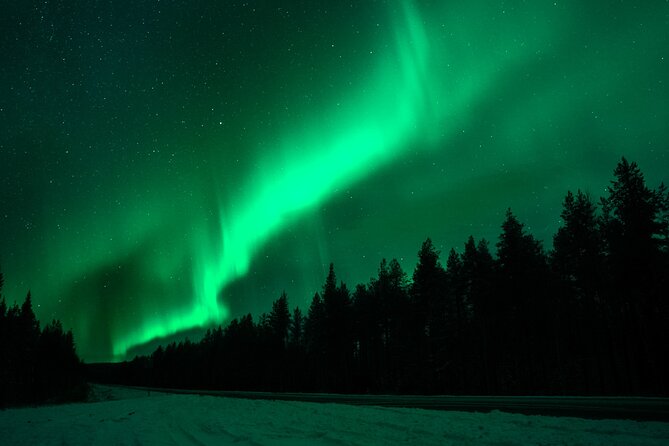 The aurora over the forest north of Rovaniemi