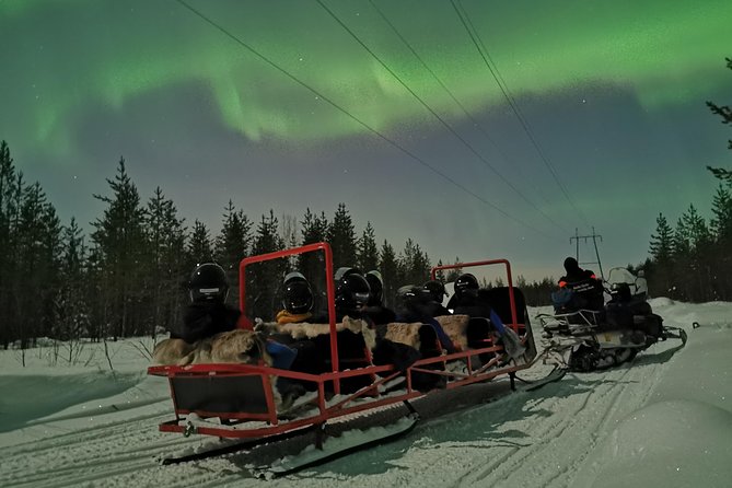 Northern Lights Sledge Ride - Key points before you book
