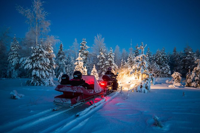 Northern Lights Sledge Ride - What the Northern Lights Sledge Ride really offers