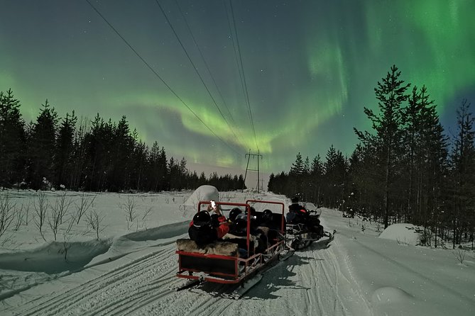 Northern Lights Sledge Ride - Riding through the forest after dark