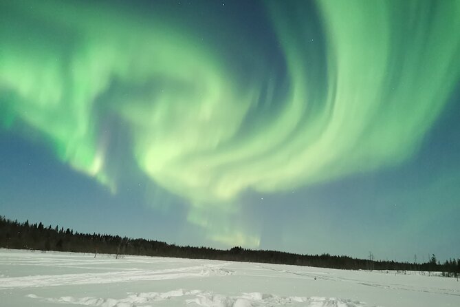 Northern Lights Sledge Ride - The Northern Lights: chance, not promise