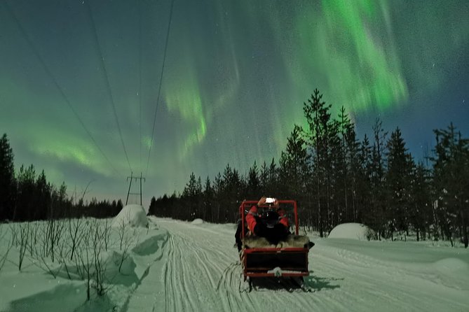 Northern Lights Sledge Ride - Who will enjoy this ride most?