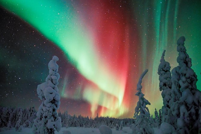 Northern Lights Snowmobile Driving Safari - Timing and group size can change the feel