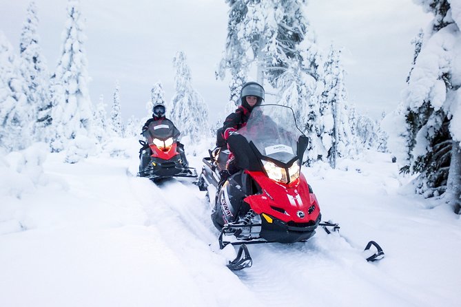 Northern Lights Snowmobile Driving Safari - Is the $210 price fair?