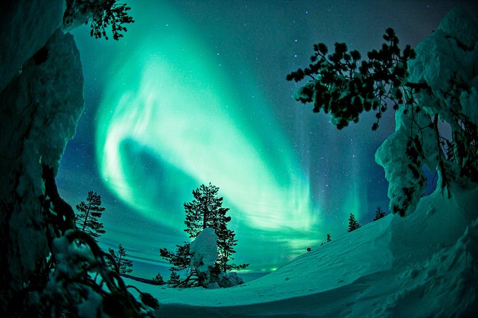 Northern Lights Snowmobile Driving Safari - What to bring for a warmer night