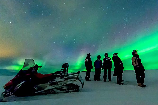 Northern Lights Snowmobile Safari from Rovaniemi with Campfire Picnic - Key points to know before you book