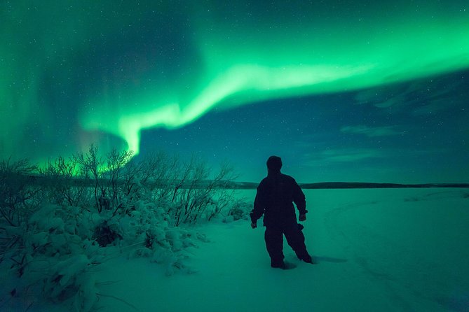 Northern Lights Snowmobile Safari from Rovaniemi with Campfire Picnic - A 7 p.m. start in Rovaniemi