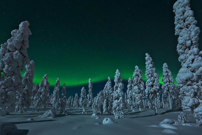 Northern Lights Snowmobile Safari from Rovaniemi with Campfire Picnic - Learning to handle the snowmobile