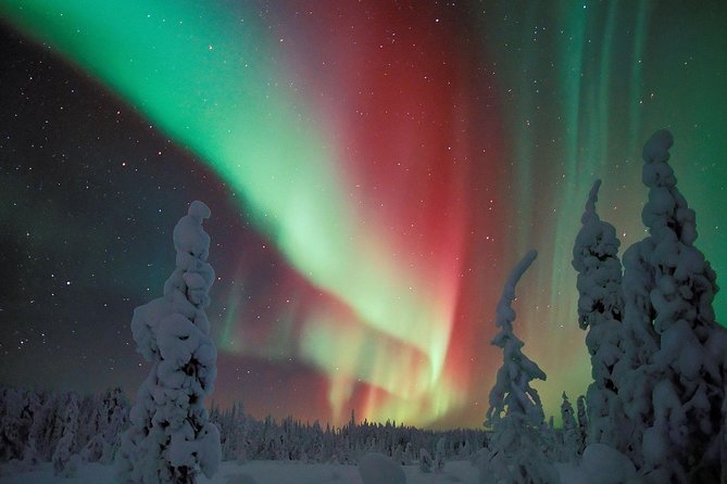 Northern Lights Snowmobile Safari from Rovaniemi with Campfire Picnic - What the $239.62 price really buys