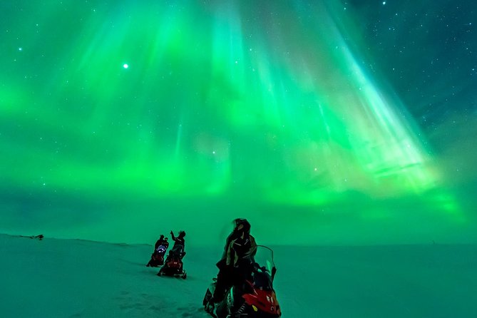 Northern Lights Snowmobile Safari from Rovaniemi with Campfire Picnic - Who should book this evening